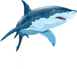 PayPal payment system