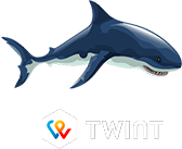 Twint payment system